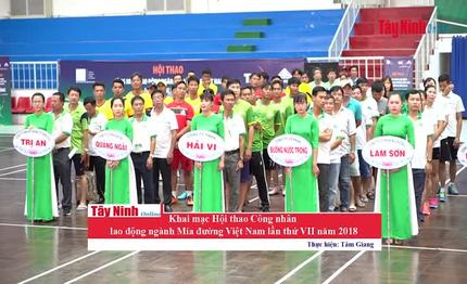 Khai mạc Hội thao Công nhân lao động ngành Mía đường Việt Nam lần thứ VII năm 2018