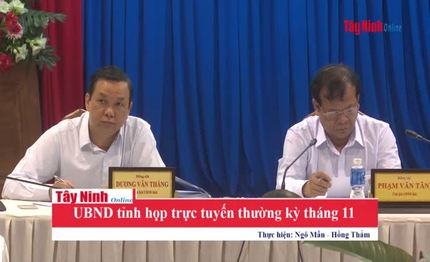 UBND tỉnh họp trực tuyến thường kỳ tháng 11