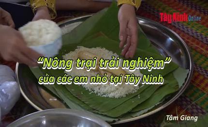 “Nông trại trải nghiệm” của các em nhỏ tại Tây Ninh