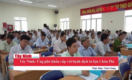 Tây Ninh: Ứng phó khẩn cấp với bệnh dịch tả lợn Châu Phi