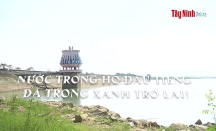 Nước trong hồ Dầu Tiếng đã trong xanh trở lại!