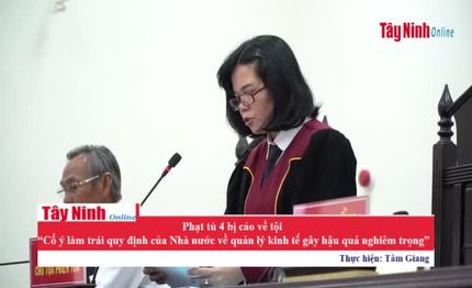 Phạt tù 4 bị cáo về tội “Cố ý làm trái quy định của Nhà nước về quản lý kinh tế gây hậu quả nghiêm trọng”