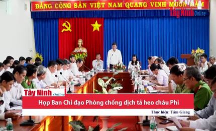 Họp Ban Chỉ đạo Phòng chống dịch tả heo châu Phi