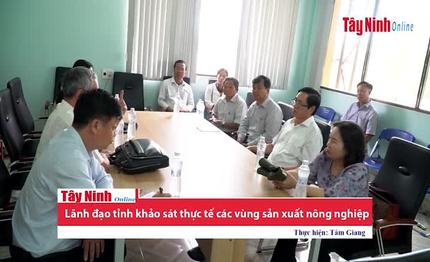 Lãnh đạo tỉnh khảo sát thực tế các vùng sản xuất nông nghiệp