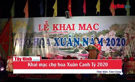 TP.Tây Ninh: Khai mạc chợ hoa Xuân Canh Tý 2020