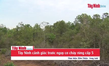 Tây Ninh: Tập trung cao độ phòng chống cháy rừng