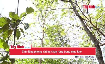 Chủ động phòng, chống cháy rừng trong mùa khô