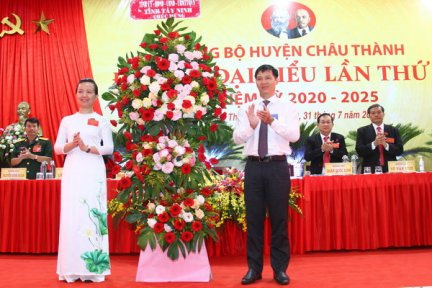 Khai mạc Đại hội Đại biểu Đảng bộ huyện Châu Thành, nhiệm kỳ 2020-2025