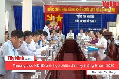 Thường trực HĐND tỉnh họp phiên định kỳ tháng 9 năm 2020