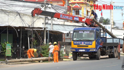 Điện lực Tây Ninh: Khẩn trương di dời đường điện trung hạ thế tuyến đường ĐT782-784