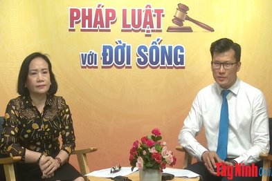 Những quy định của pháp luật liên quan đến Chó thả rông