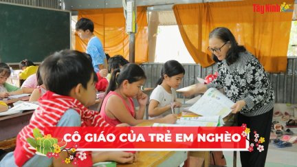 Mùng 3 Tết: gặp gỡ cô giáo hơn 20 năm dạy học miễn phí cho trẻ em nghèo