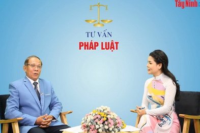 Pháp luật với vấn đề ô nhiễm môi trường