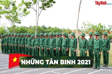 Những tân binh 2021