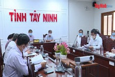 Hội nghị trực tuyến toàn quốc Tổng kết thực hiện Chính sách hỗ trợ nâng cao hiệu quả chăn nuôi nông hộ giai đoạn 2015-2020