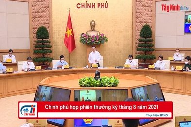 Chính phủ họp phiên thường kỳ tháng 8 năm 2021