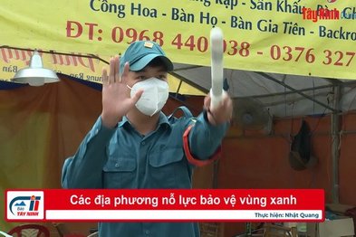 Các địa phương nỗ lực bảo vệ vùng xanh