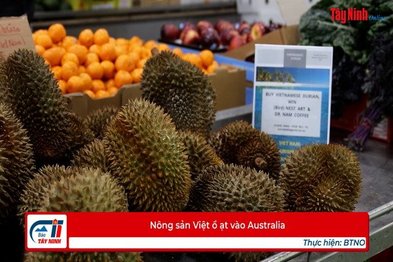 Nông sản Việt ồ ạt vào Australia