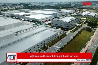 Việt Nam có thế mạnh trong lĩnh vực sản xuất