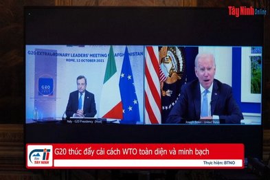 G20 thúc đẩy cải cách WTO toàn diện và minh bạch