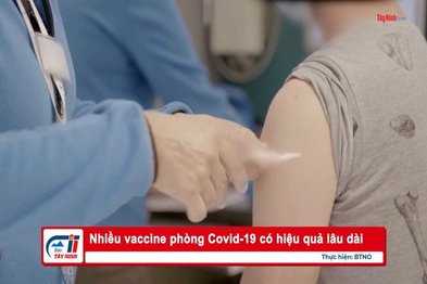 Nhiều vaccine phòng Covid-19 có hiệu quả lâu dài