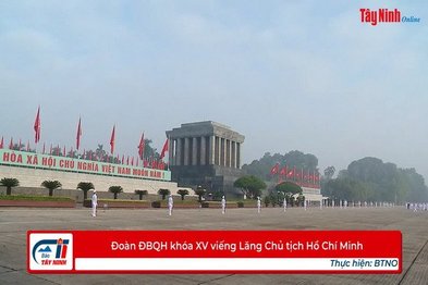 Đoàn ĐBQH khóa XV viếng Lăng Chủ tịch Hồ Chí Minh