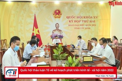 Quốc hội thảo luận Tổ về kế hoạch phát triển kinh tế - xã hội năm 2022