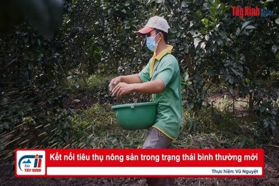 Kết nối tiêu thụ nông sản trong trạng thái bình thường mới