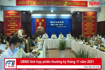 UBND tỉnh họp phiên thường kỳ tháng 11 năm 2021