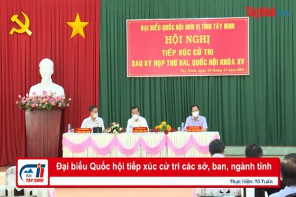 Đại biểu Quốc hội tiếp xúc cử tri các sở, ban, ngành tỉnh