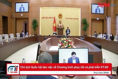 Chủ tịch Quốc hội làm việc về Chương trình phục hồi và phát triển KT-XH