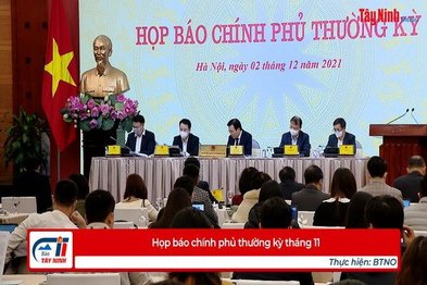 Họp báo chính phủ thường kỳ tháng 11.2021