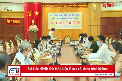 Đại biểu HĐND tỉnh thảo luận tổ các nội dung trình kỳ họp