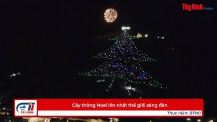 Cây thông Noel lớn nhất thế giới sáng đèn