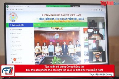Tập huấn sử dụng Cổng thông tin tiêu thụ sản phẩm cho các hợp tác xã ở 20 tỉnh khu vực miền Nam