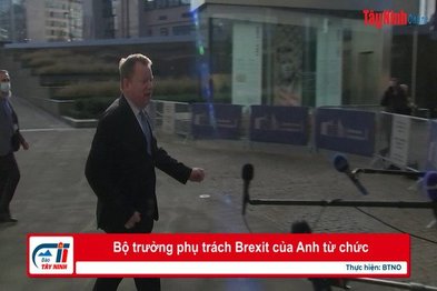 Bộ trưởng phụ trách Brexit của Anh từ chức