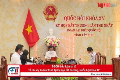 ĐBQH thảo luận tại tổ về các dự án luật trình tại kỳ họp bất thường, Quốc hội khóa XV