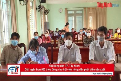 Hội Nông dân TP. Tây Ninh: Giải ngân hơn 500 triệu đồng cho hội viên nông dân phát triển sản xuất