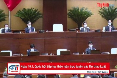 Ngày 10.1, Quốc hội tiếp tục thảo luận trực tuyến các Dự thảo Luật