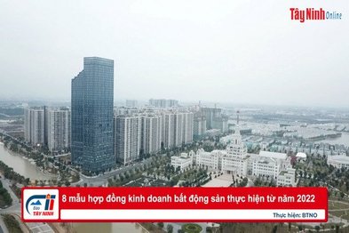 8 mẫu hợp đồng kinh doanh bất động sản thực hiện từ năm 2022