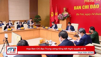 Họp Ban Chỉ đạo Trung ương tổng kết Nghị quyết số 19