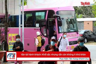 Vận tải hành khách: Khởi sắc nhưng còn không ít khó khăn