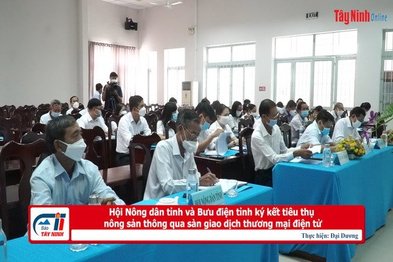 Hội Nông dân tỉnh và Bưu điện tỉnh ký kết tiêu thụ nông sản thông qua sàn giao dịch thương mại điện tử