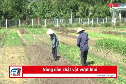 Nông dân chật vật vượt khó