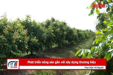 Phát triển nông sản gắn với xây dựng thương hiệu