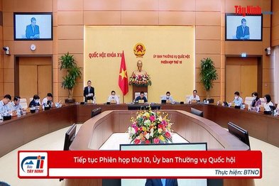 Tiếp tục Phiên họp thứ 10, Ủy ban Thường vụ Quốc hội