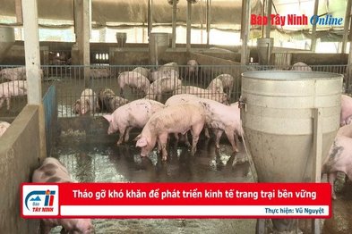 Tháo gỡ khó khăn để phát triển kinh tế trang trại bền vững