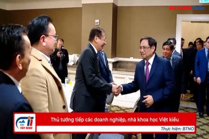 Thủ tướng tiếp các doanh nghiệp, nhà khoa học Việt kiều