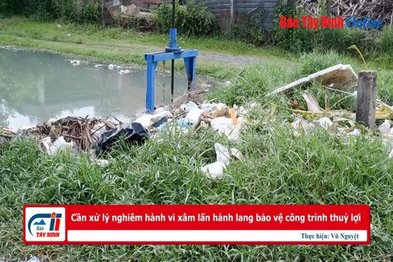 Cần xử lý nghiêm hành vi xâm lấn hành lang bảo vệ công trình thuỷ lợi