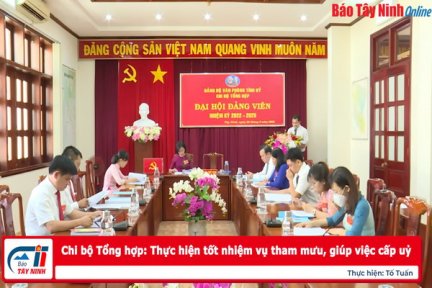 Chi bộ Tổng hợp: Thực hiện tốt nhiệm vụ tham mưu, giúp việc cấp uỷ